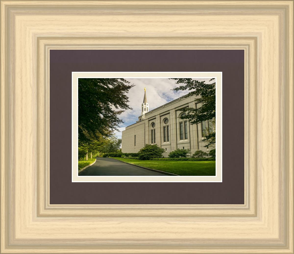 Boston Temple Trees Of Life Panoramic