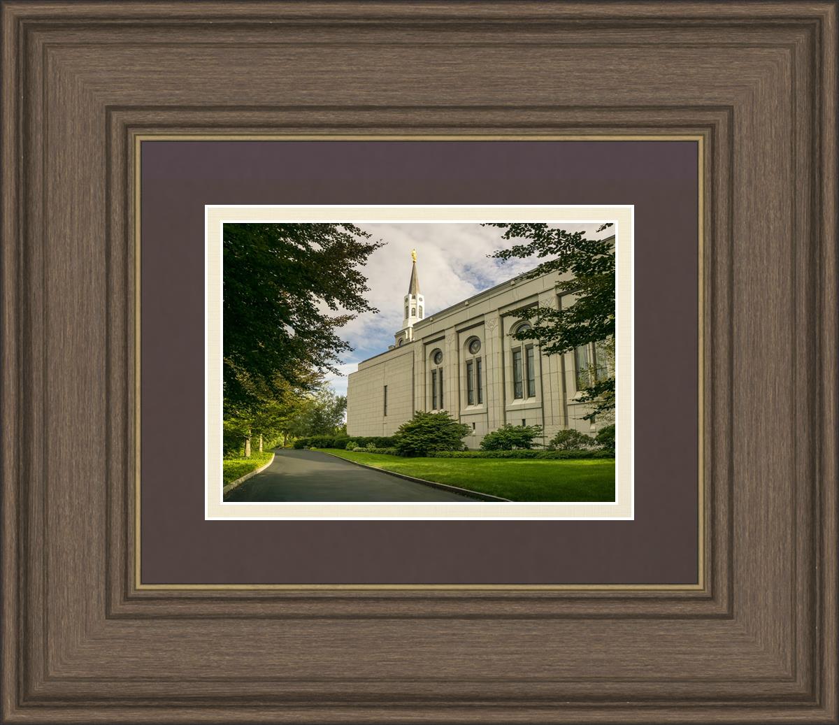 Boston Temple Trees Of Life Panoramic