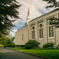 Boston Temple Trees Of Life Panoramic