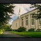 Boston Temple Trees Of Life Panoramic