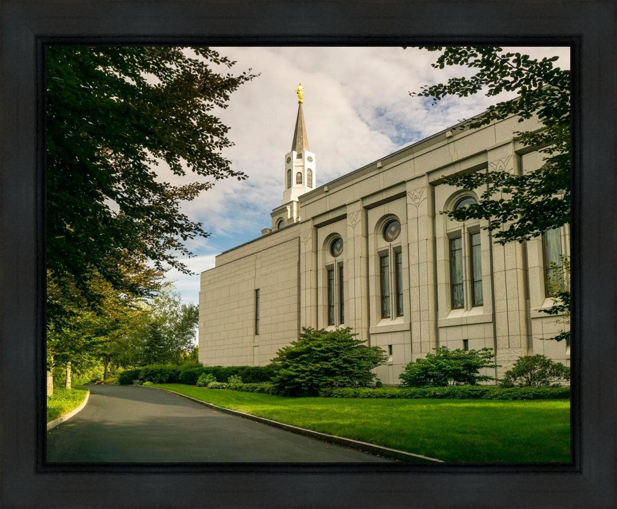 Boston Temple Trees Of Life Panoramic