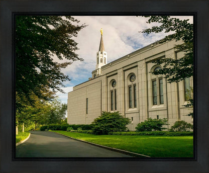 Boston Temple Trees Of Life Panoramic