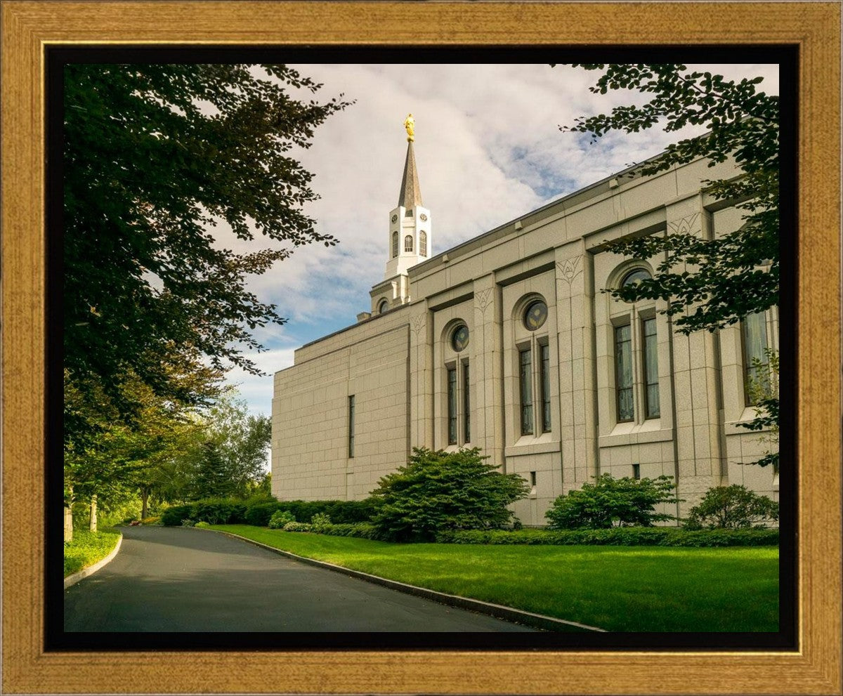 Boston Temple Trees Of Life Panoramic
