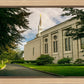 Boston Temple Trees Of Life Panoramic