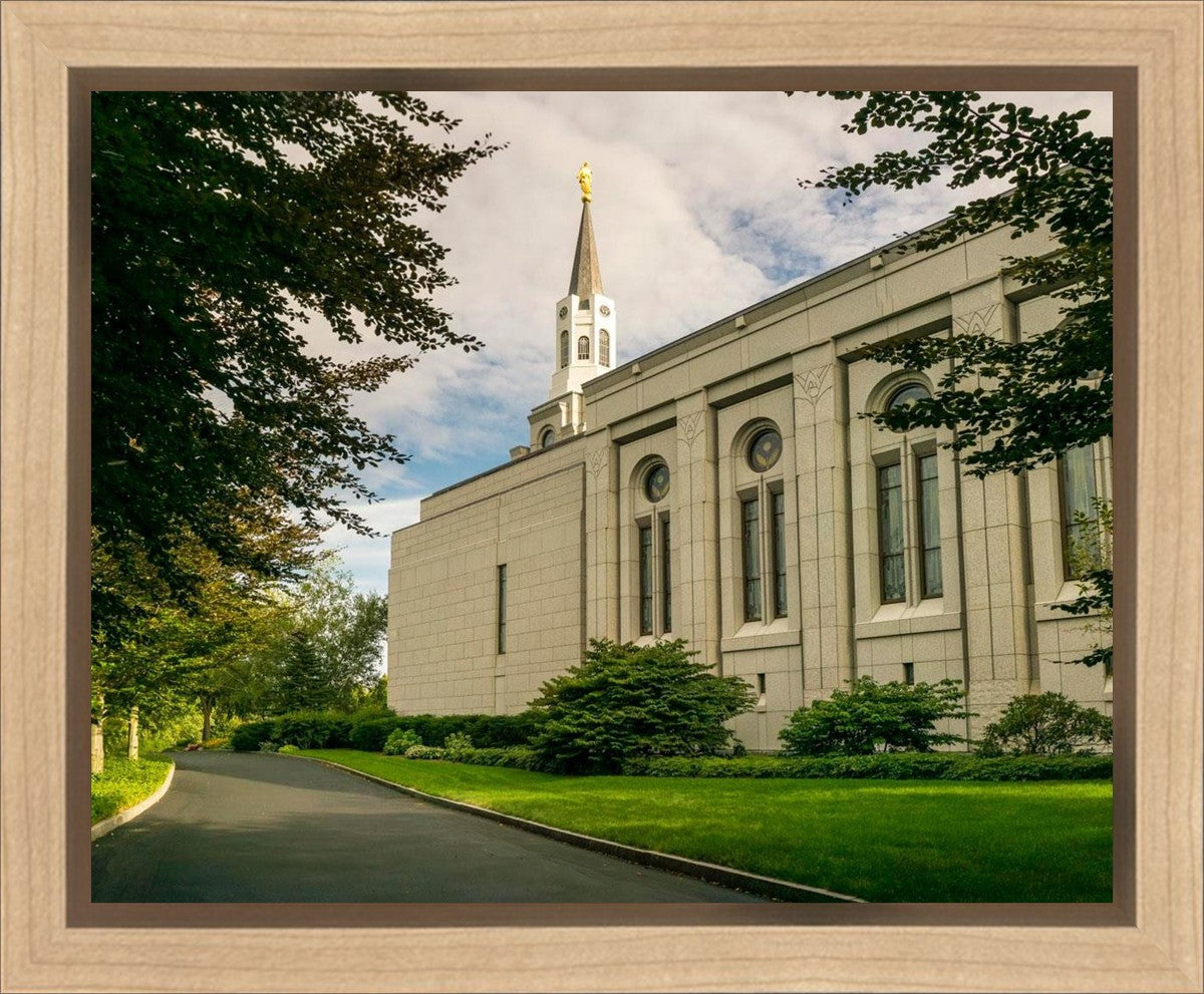 Boston Temple Trees Of Life Panoramic