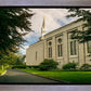 Boston Temple Trees Of Life Panoramic