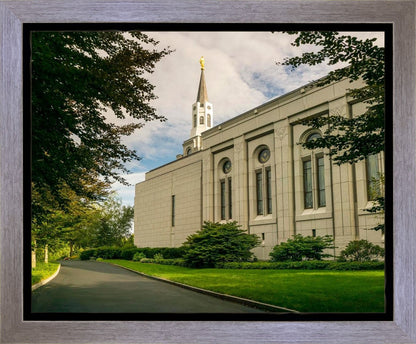 Boston Temple Trees Of Life Panoramic