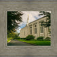 Boston Temple Trees Of Life Panoramic