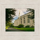 Boston Temple Trees Of Life Panoramic