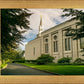 Boston Temple Trees Of Life Panoramic