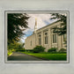 Boston Temple Trees Of Life Panoramic