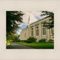 Boston Temple Trees Of Life Panoramic
