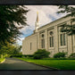 Boston Temple Trees Of Life Panoramic