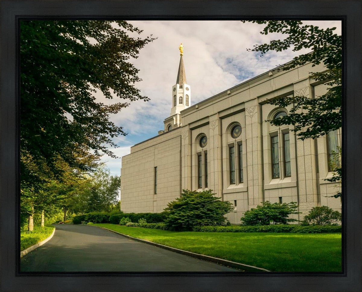 Boston Temple Trees Of Life Panoramic