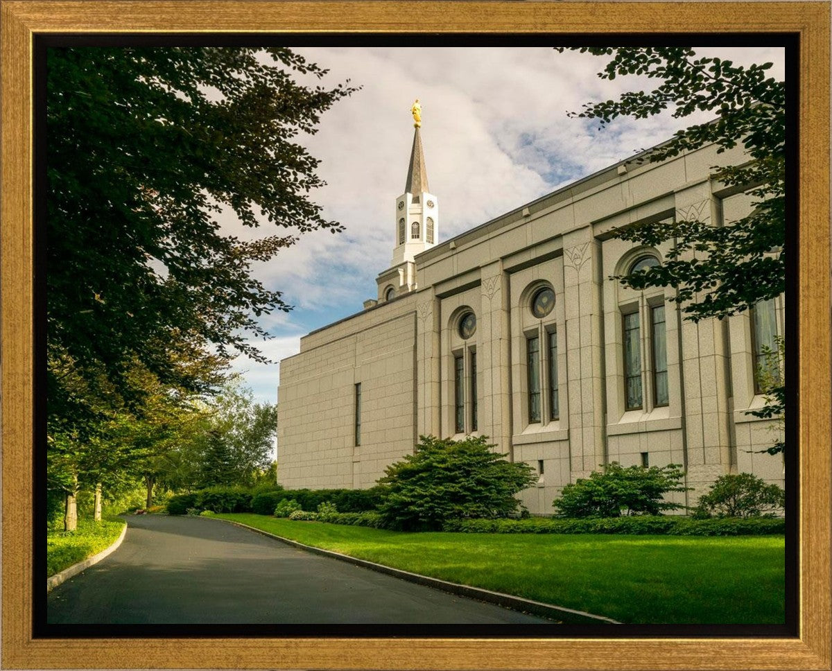 Boston Temple Trees Of Life Panoramic