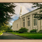 Boston Temple Trees Of Life Panoramic