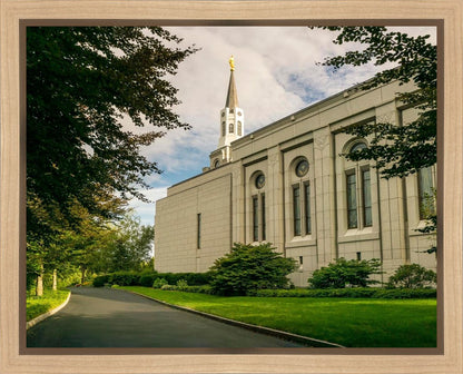 Boston Temple Trees Of Life Panoramic