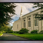 Boston Temple Trees Of Life Panoramic
