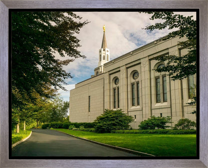 Boston Temple Trees Of Life Panoramic