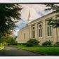 Boston Temple Trees Of Life Panoramic
