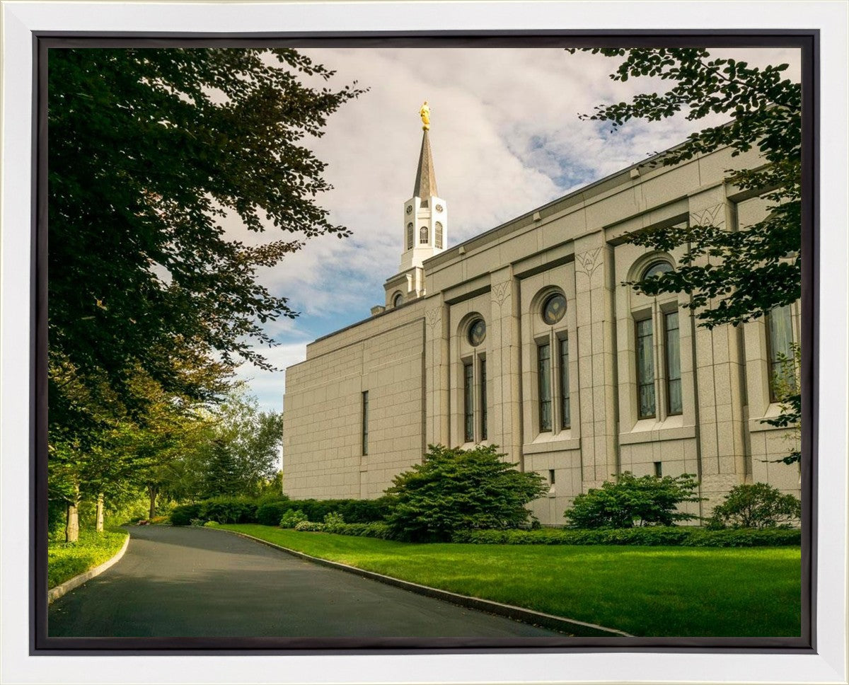 Boston Temple Trees Of Life Panoramic