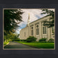 Boston Temple Trees Of Life Panoramic