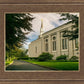 Boston Temple Trees Of Life Panoramic
