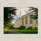 Boston Temple Trees Of Life Panoramic