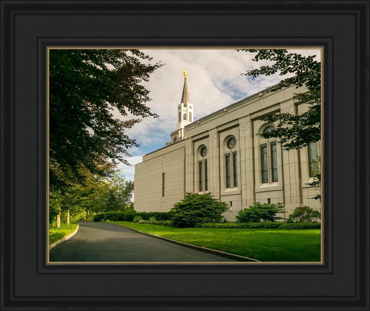 Boston Temple Trees Of Life Panoramic