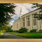 Boston Temple Trees Of Life Panoramic