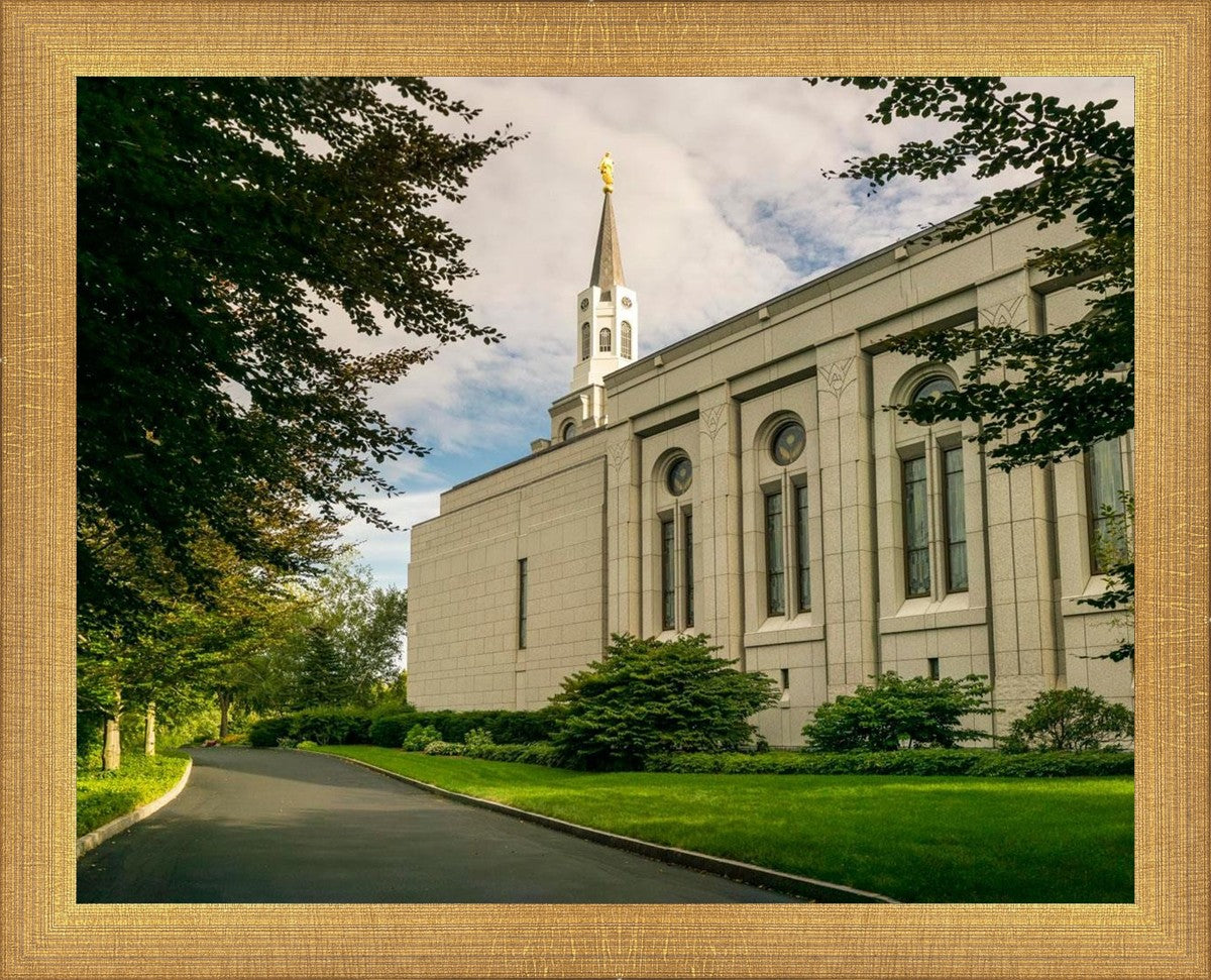 Boston Temple Trees Of Life Panoramic
