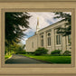Boston Temple Trees Of Life Panoramic