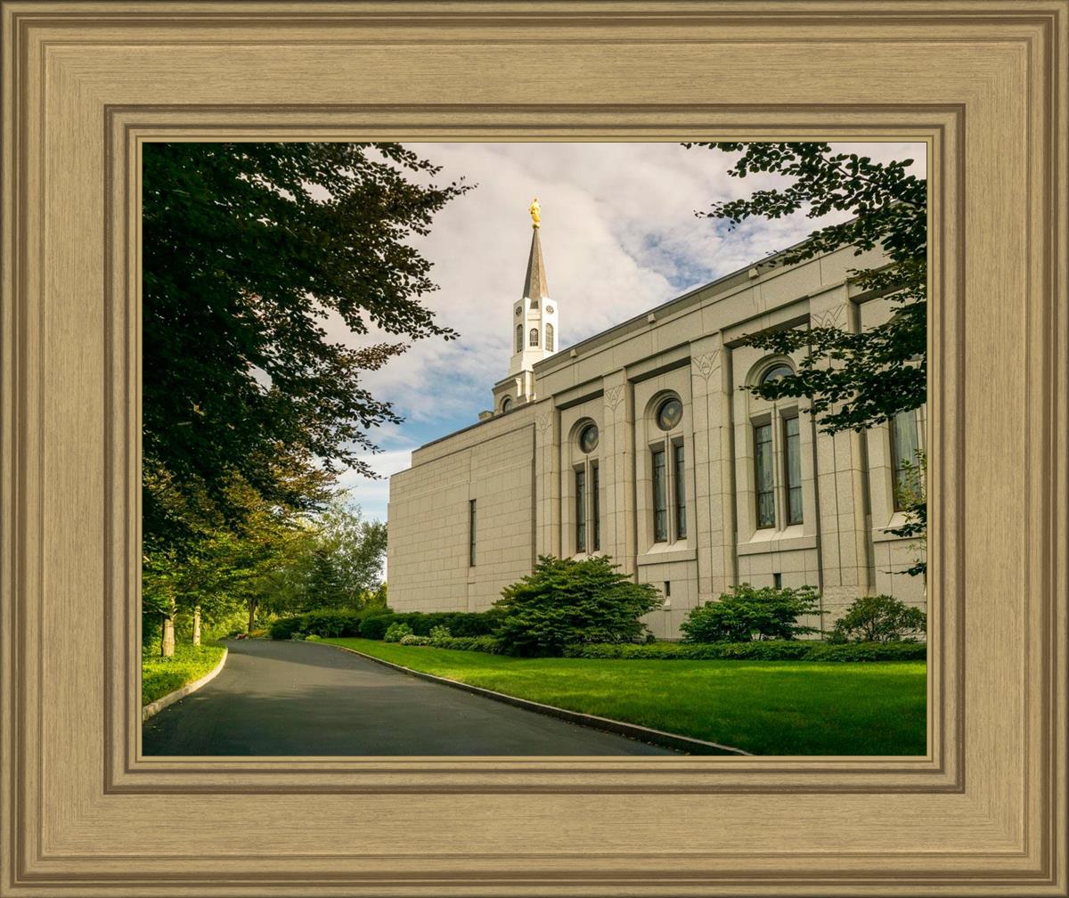 Boston Temple Trees Of Life Panoramic