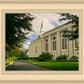Boston Temple Trees Of Life Panoramic