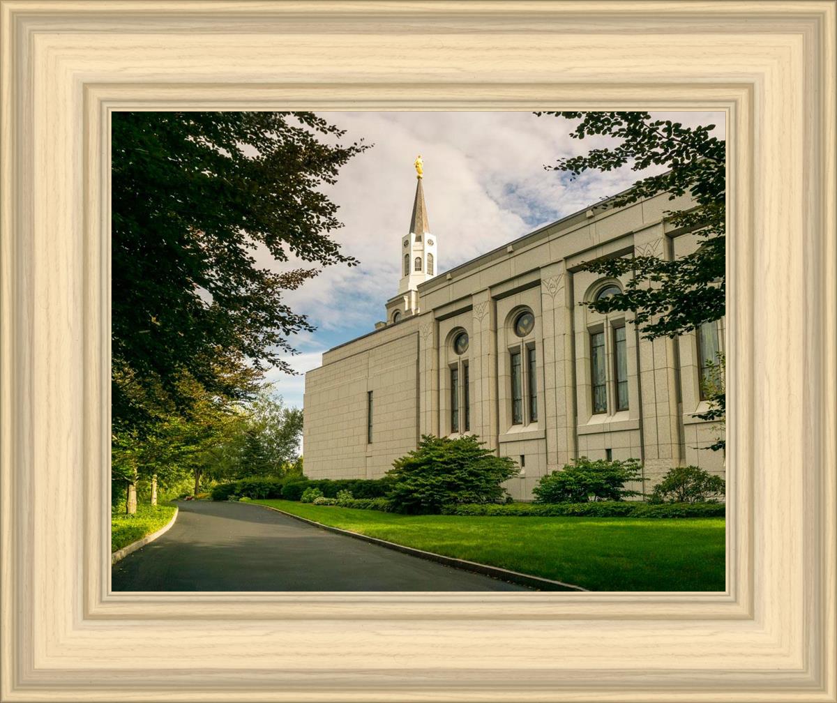 Boston Temple Trees Of Life Panoramic