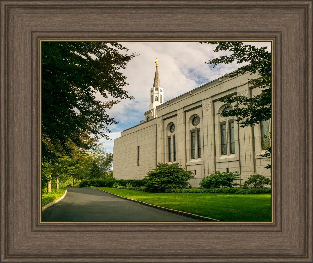 Boston Temple Trees Of Life Panoramic