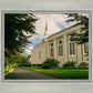 Boston Temple Trees Of Life Panoramic