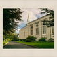 Boston Temple Trees Of Life Panoramic