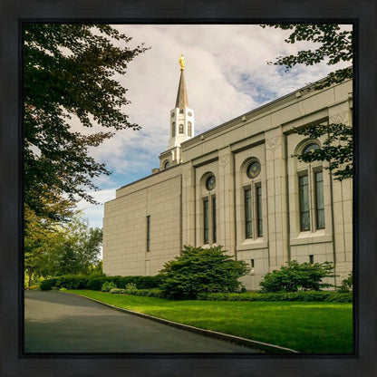 Boston Temple Trees Of Life Panoramic