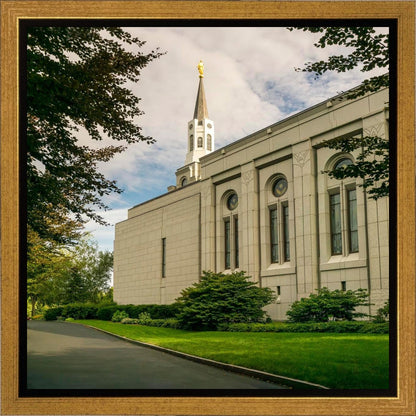 Boston Temple Trees Of Life Panoramic