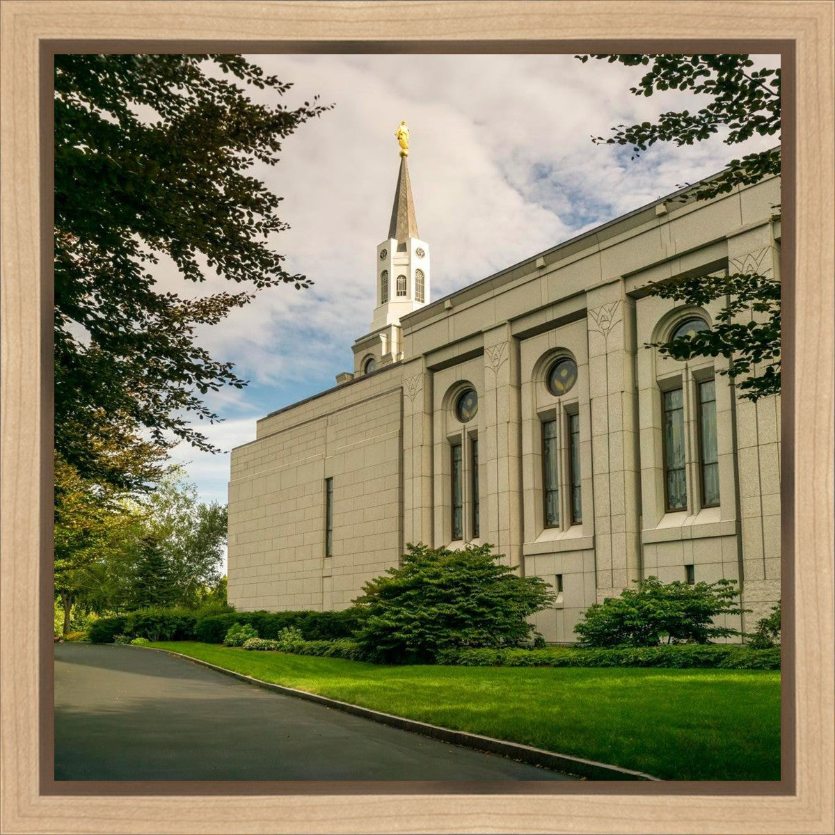Boston Temple Trees Of Life Panoramic