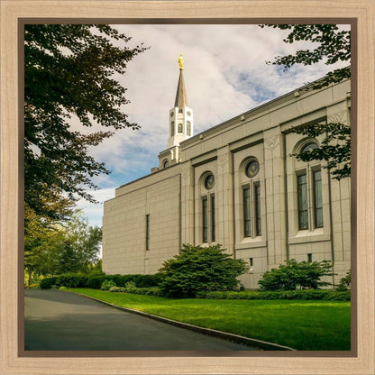 Boston Temple Trees Of Life Panoramic