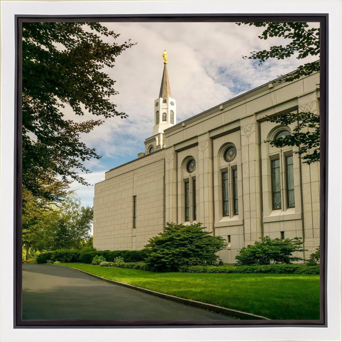 Boston Temple Trees Of Life Panoramic