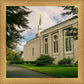 Boston Temple Trees Of Life Panoramic