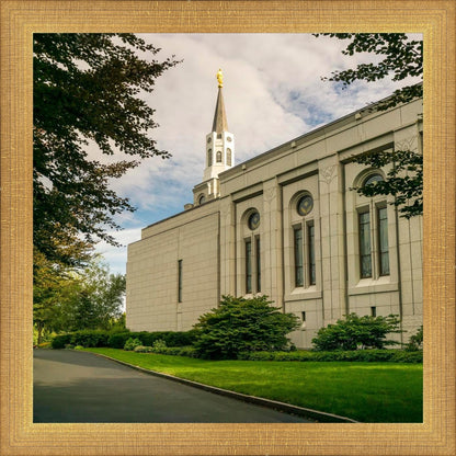 Boston Temple Trees Of Life Panoramic