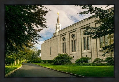 Boston Temple Trees Of Life Panoramic