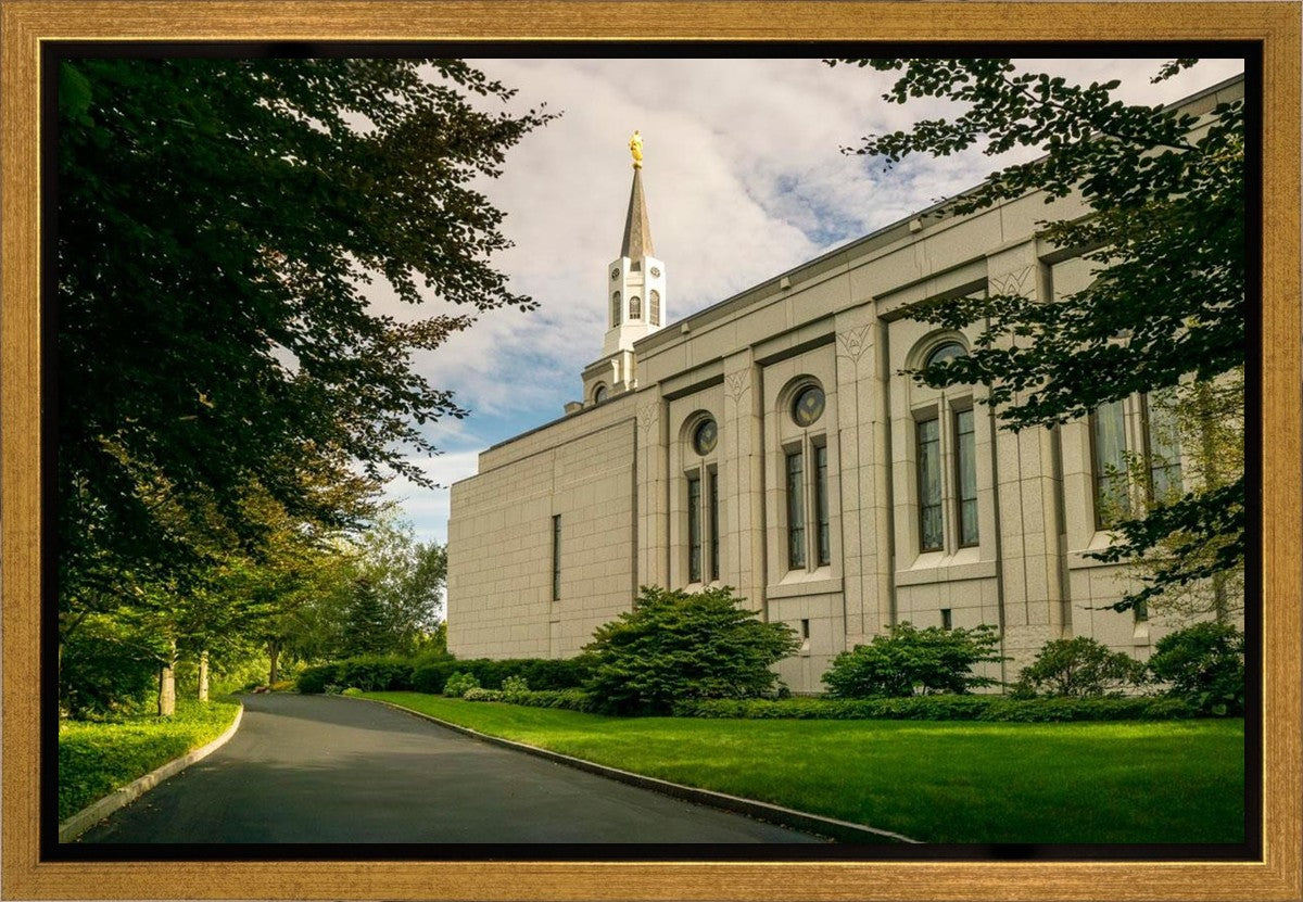 Boston Temple Trees Of Life Panoramic