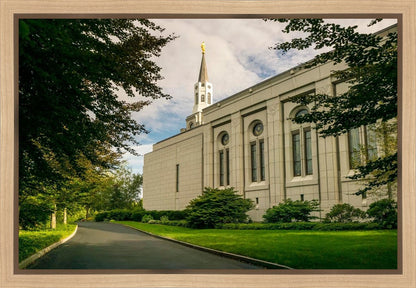 Boston Temple Trees Of Life Panoramic
