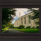 Boston Temple Trees Of Life Panoramic