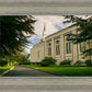 Boston Temple Trees Of Life Panoramic